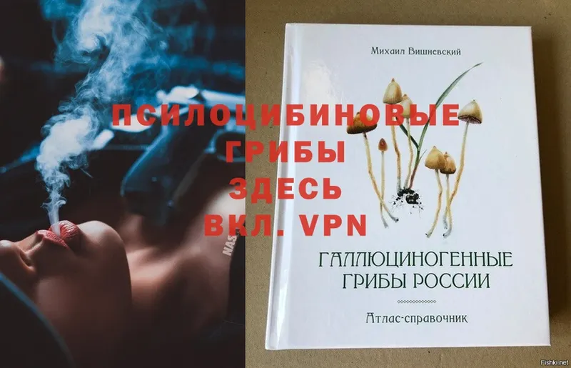 Псилоцибиновые грибы Magic Shrooms  гидра   Новоузенск 